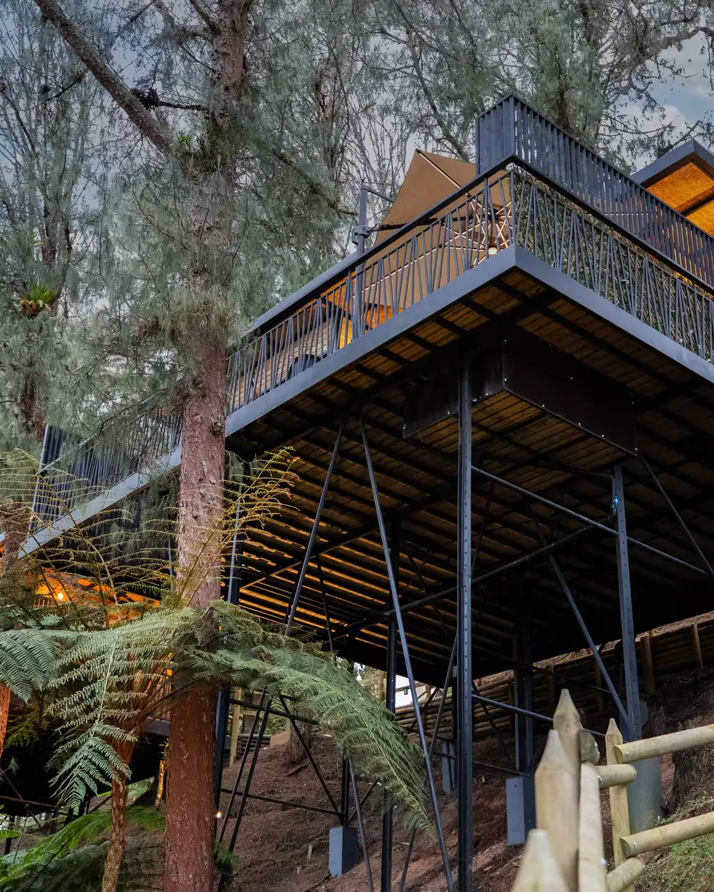 A raised wooden cabin among trees, with a terrace.