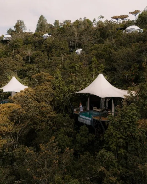Glamping domes and tents spread among the trees of a wooded hillside.