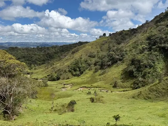 Valle verde con potreros y montañas en Altoverde.
