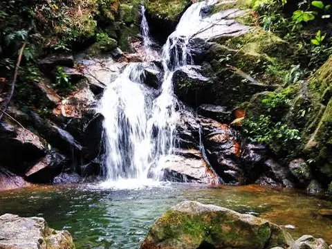 Una cascada entre rocas y vegetación.