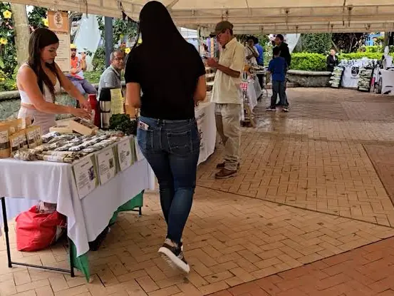 Puestos de emprendedores locales en una feria al aire libre.